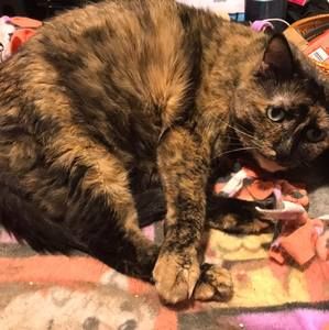 Meet your Posher, Will